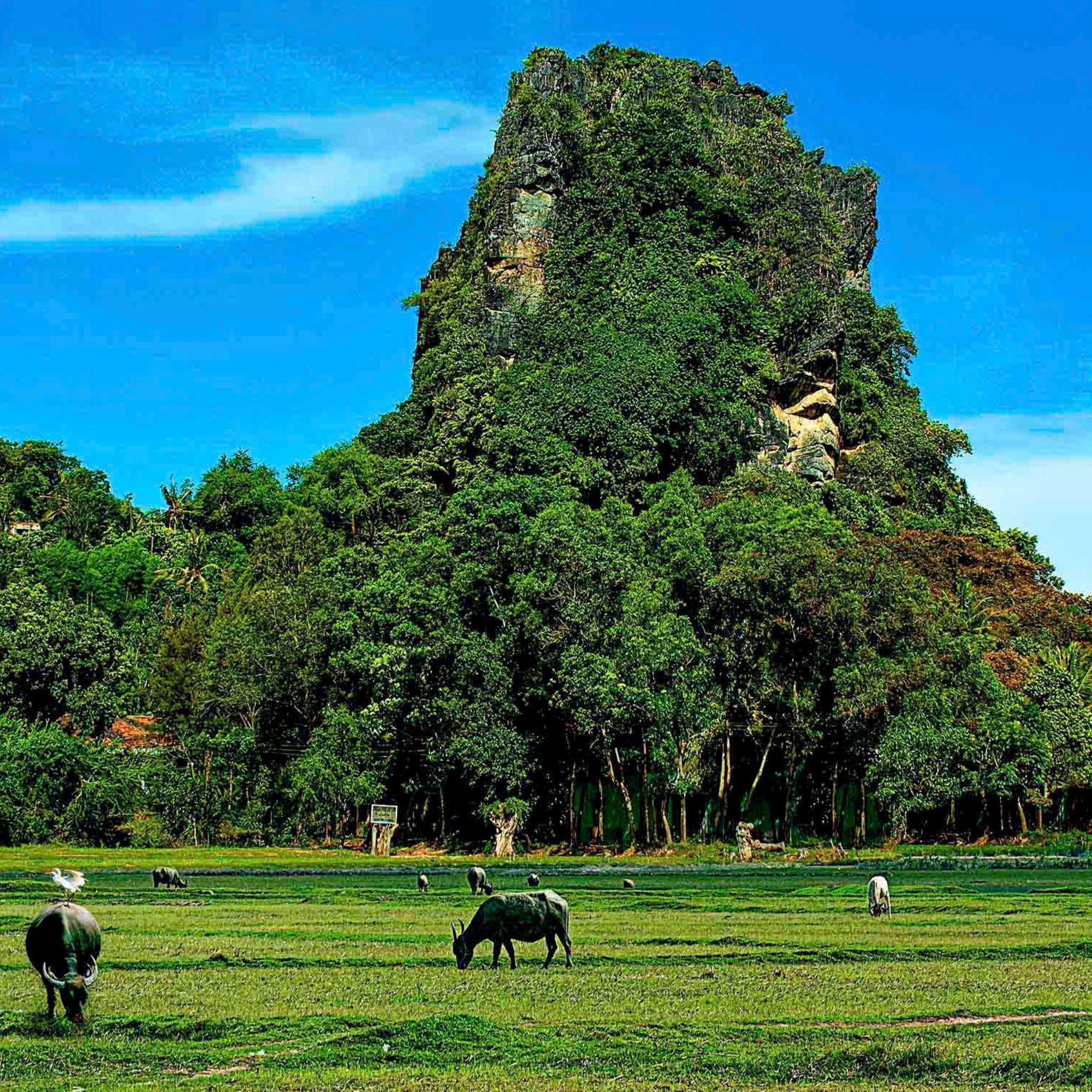 Di tích Thắng cảnh Thạch Động